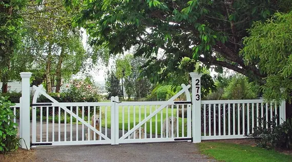 Timber entrance gates and matching picket fence, with two dogs waiting behind them