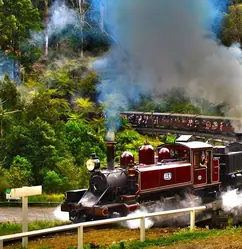 Puffing Billy under steam in the Dandenongs, the railway Heritage makes carriage doors and seats for