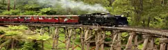 Made-to-order timber joinery - new timber components made for a Puffing Billy carriage
