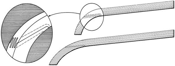 Timber verandah rafter BNRAF, scale profile drawing