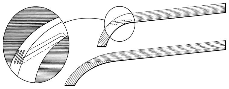Bullnose verandah rafter, section through the curved rafter and eaves